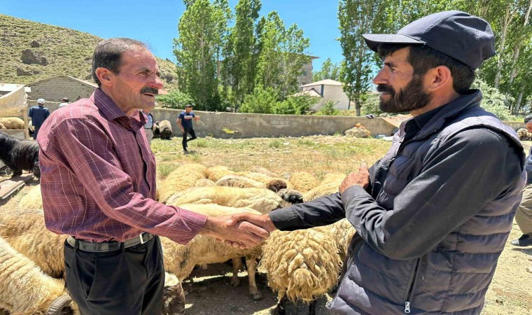 Yüksekovada kurbanlık satışları devam ediyor