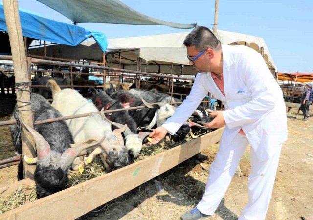 Yüreğirde kurban satış ve kesim yerleri belirlendi