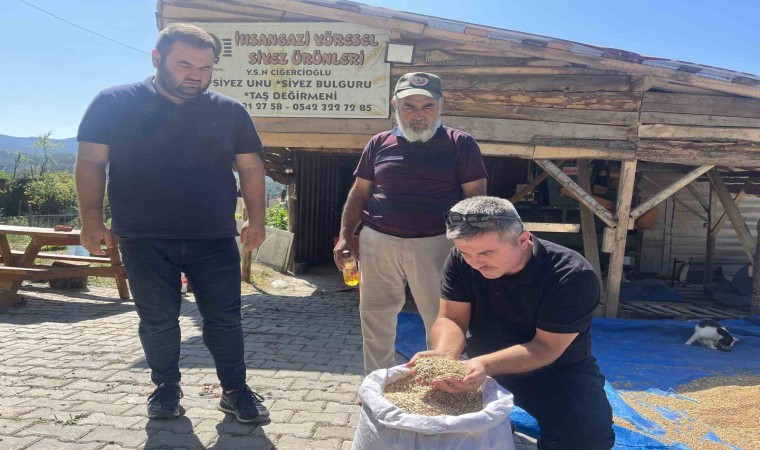 12 bin yıldır genetiği değişmeyen siyez mercek altına alındı