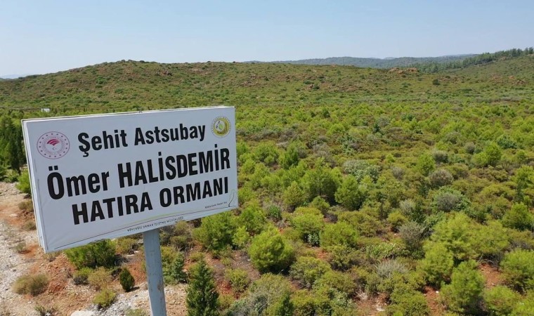 15 Temmuz Şehitleri ve Demokrasi Hatıra Ormanlarında bugüne kadar 300 bin fidan toprakla buluşturuldu