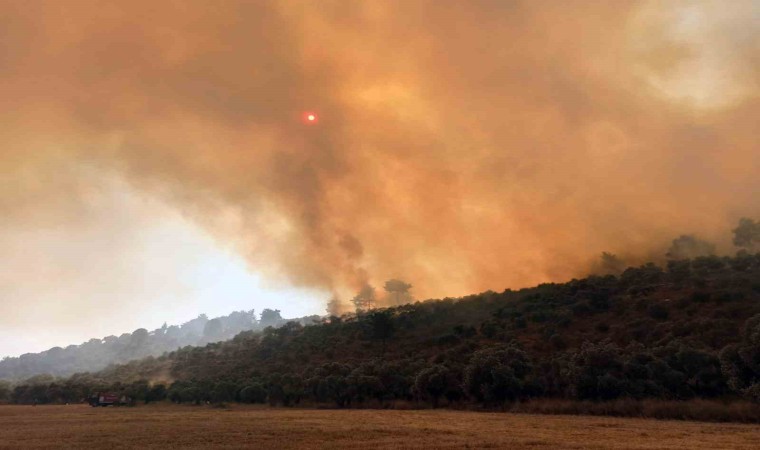 160 hektar alanı torpille yakmış