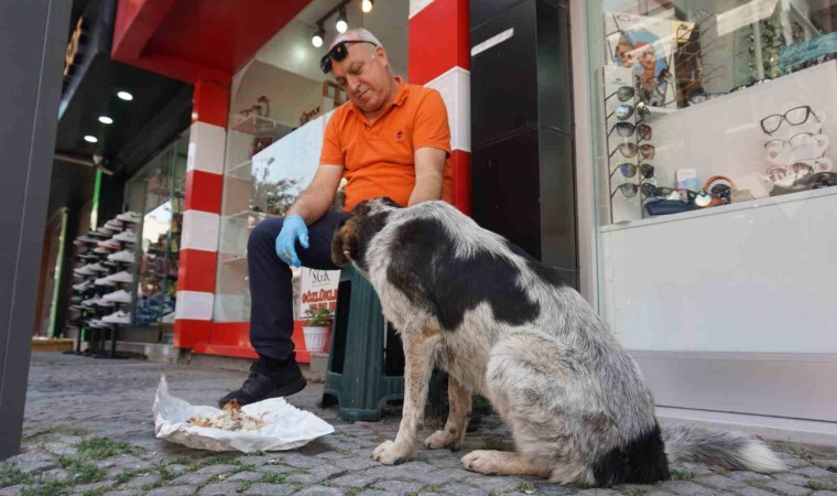 7 yıl önce yaralı halde iş yerinin önüne gelen sokak köpeği esnafın Dostu oldu