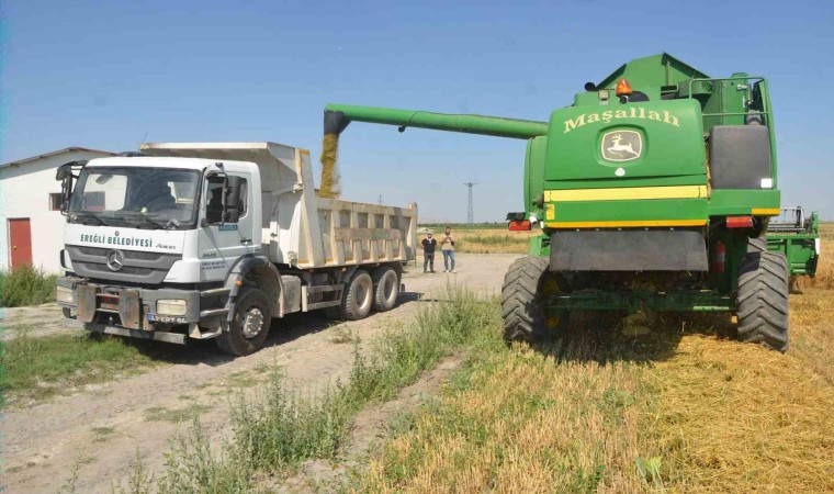 Adabağda yılın ilk organik tarım hasadı başladı