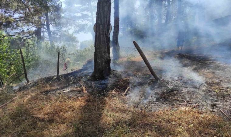 Adana Kozanda orman yangını, ekipler kontrol altına aldı