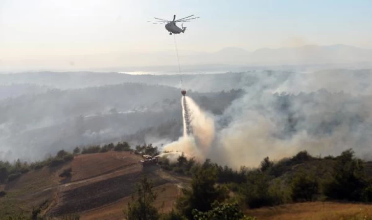 Adana’da orman yangını (2)