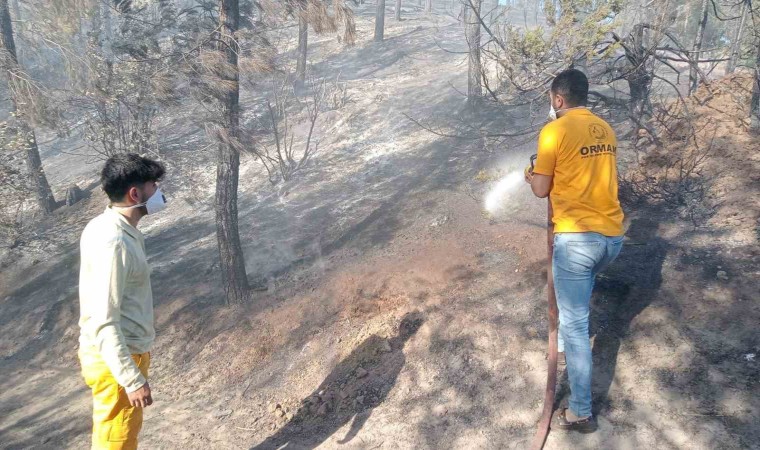 Adanada orman yangını, büyümeden kontrol altına alındı