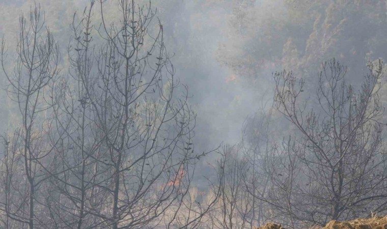 Adanada orman yangınına havadan ve karadan müdahale devam ediyor