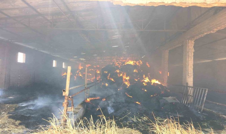 Adıyamanda 50 kamyon saman balyası yandı