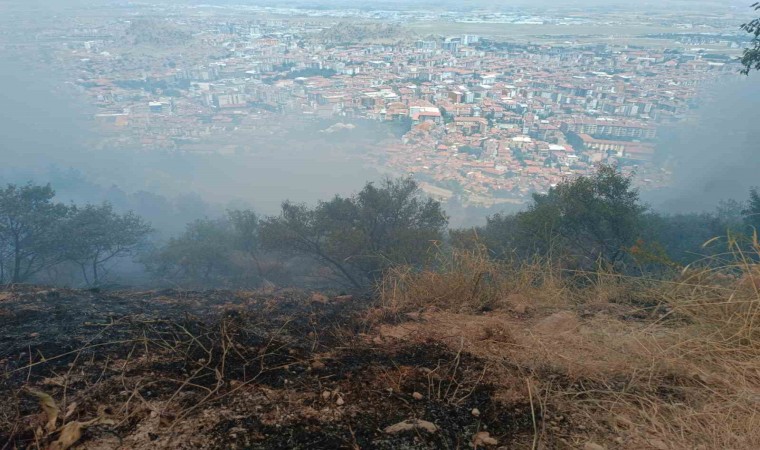 Afyonkarahisarda çıkan orman yangını 1,5 saatin sonunda söndürüldü