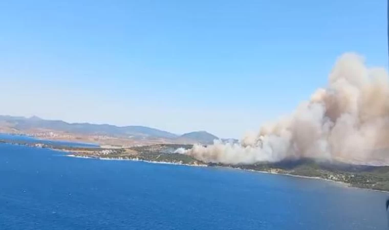 Aliağa’daki orman yangınına 2 gözaltı