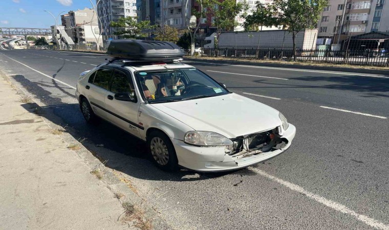 Anayola atlayan köpek kazaya sebep oldu