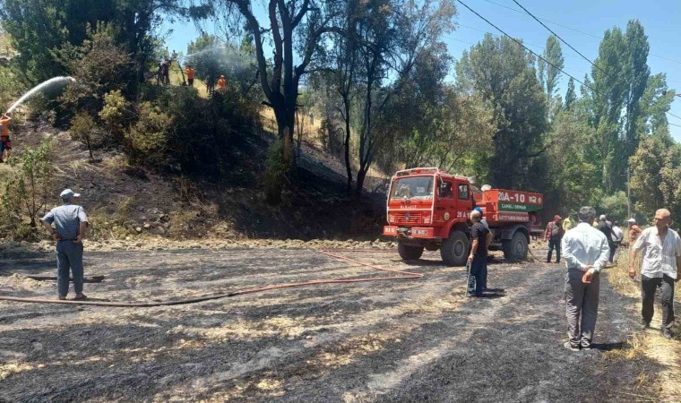 Anız yangını ormana sıçramadan söndürüldü