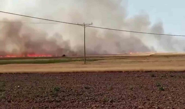 Ankarada 500 dönümlük tarla yangında kül oldu