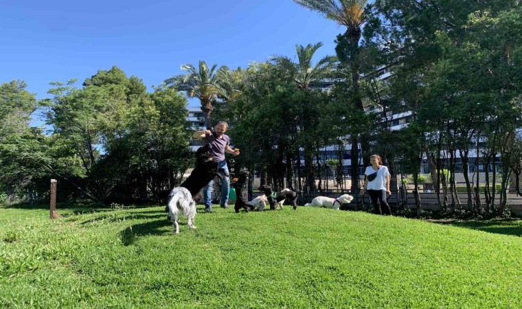 Antalya Büyükşehir Belediyesince yenilenen köpek parkı hizmete girdi