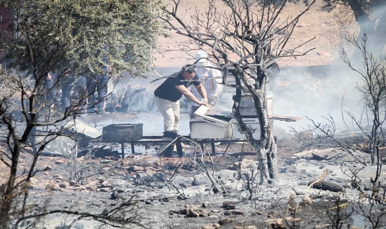 Antalyada çalılık alanda çıkan yangın kovanları küle çevirdi