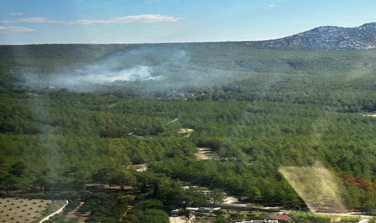 Antalyada orman yangını