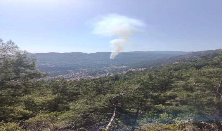 Antalya’da orman yangını