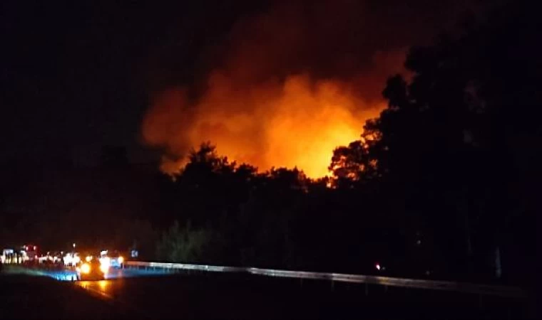 Antalya’da orman yangını