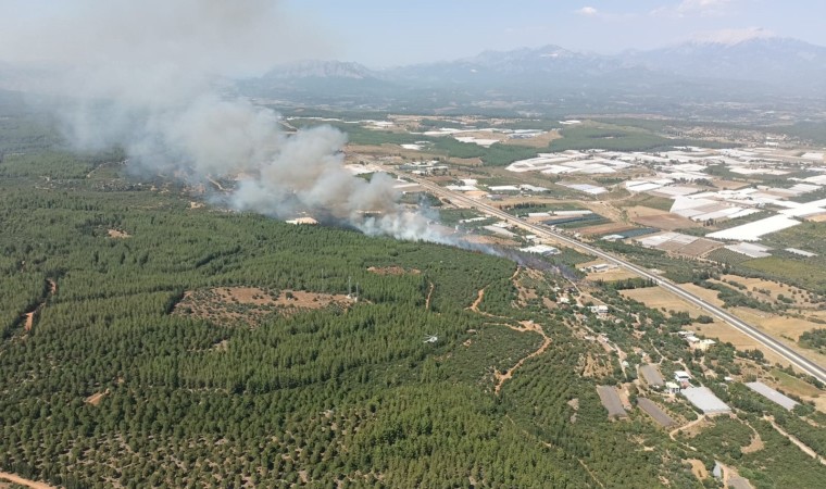 Antalyada orman yangını