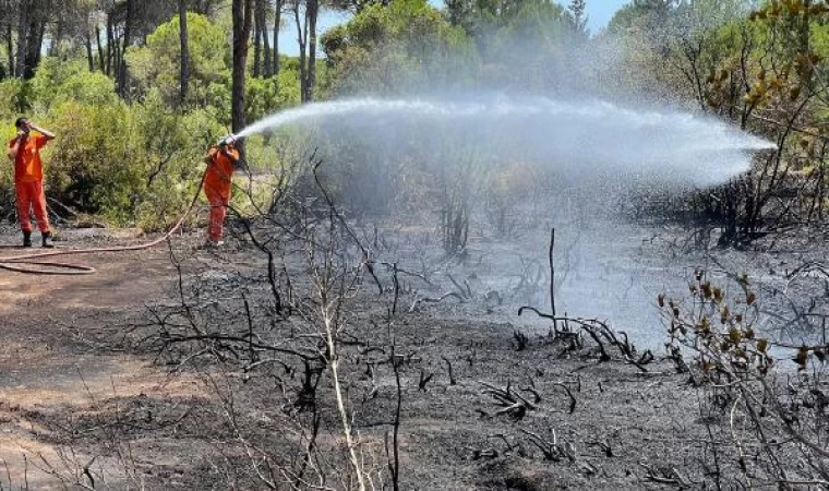 Antalya’da orman yangını, yarım saatte söndürüldü