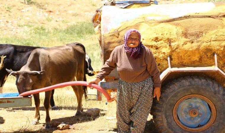 Antalyanın “Çoban Haritası” çıkartılıyor