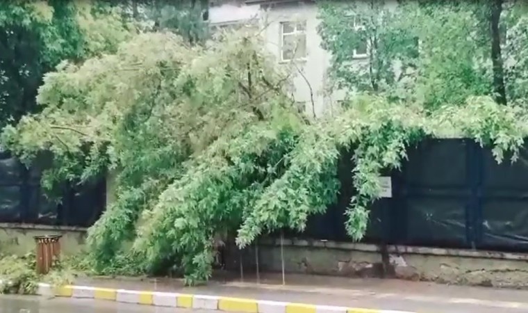 Ardahanda yıldırım çarpması sonucu bir çocuk öldü