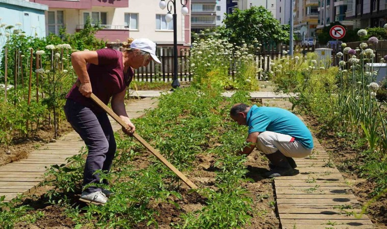 AtaTohumda yazlık fideler toprakla buluştu