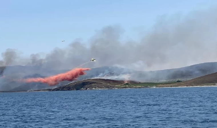 Avşa Adası’nda otluk arazide yangını