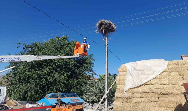 Ayağına ip bağlanan yavru leylek kurtarıldı