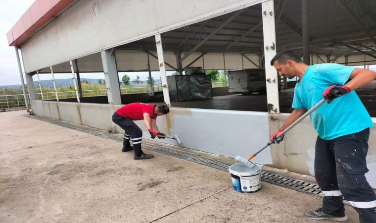 Ayazma Kapalı Pazarına bakım çalışması