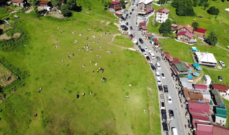 Ayder Yaylasını Kurban Bayramı tatili boyunca 100 bine yakın turist ziyaret etti