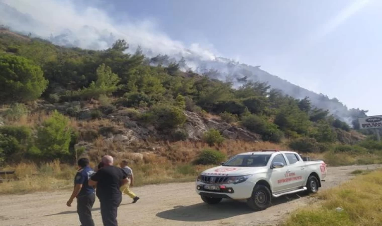 Aydın’da orman yangını (2)