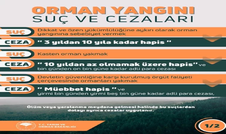 Bakan Yumaklı: Son 10 günde 203 orman yangını çıktı