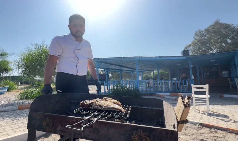 Balıkçıların korkulu rüyası Türk mutfağına yeni bir lezzet olarak ekleniyor