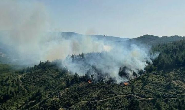 Balıkesir’de orman yangını