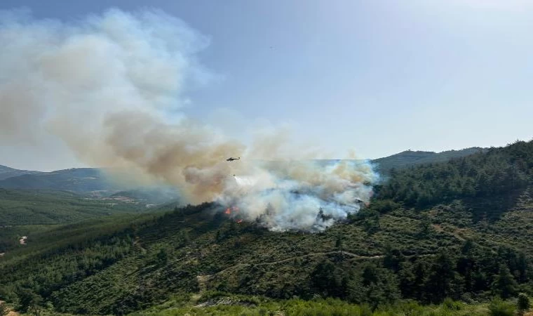 Balıkesir’de orman yangını (2)