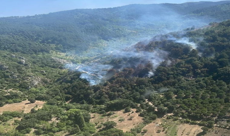 Balıkesir’de orman yangını (2)