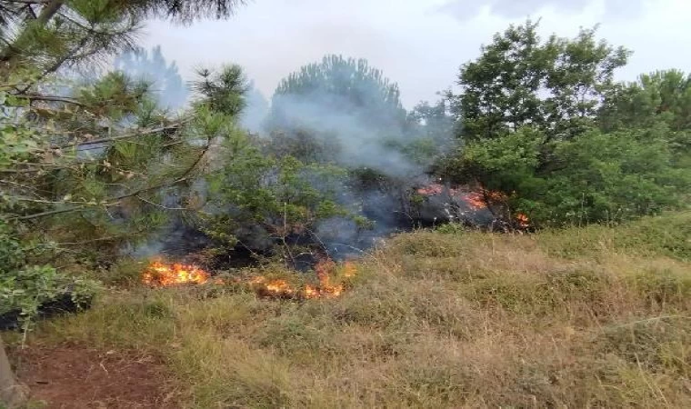 Bandırma’da orman yangını; 8 saat sonra kontrol altında