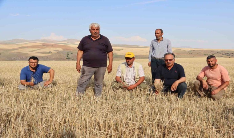 Baraj kenarında susuzluk krizi