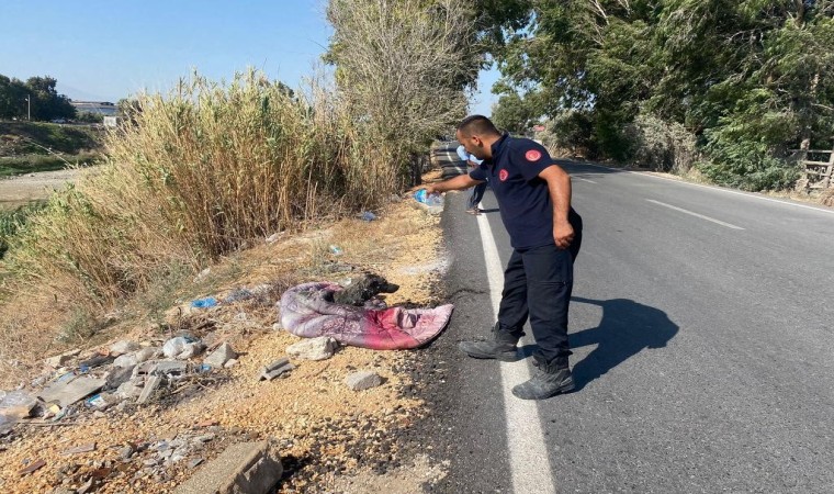 Bataklığa saplanan köpeği itfaiye kurtardı