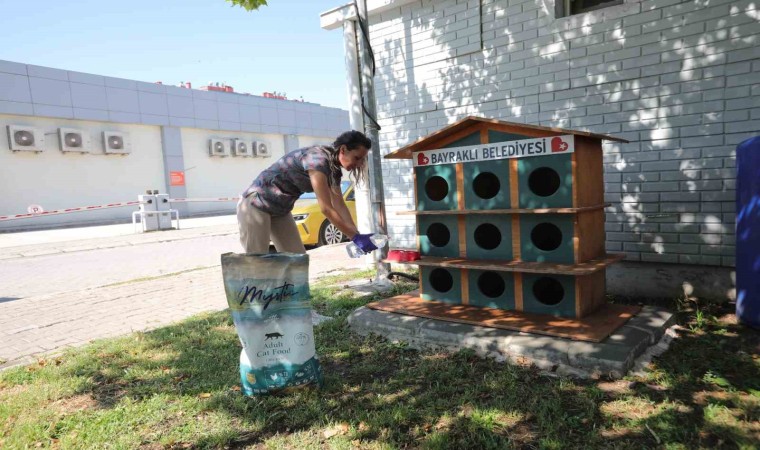 Bayraklıda can dostlar için bir kap su kampanyası