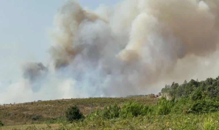 Beykoz’da orman yangını - 2