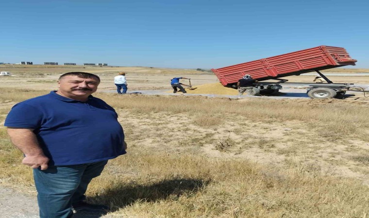 Beylikova TMO yılın ilk mahsulünü aldı