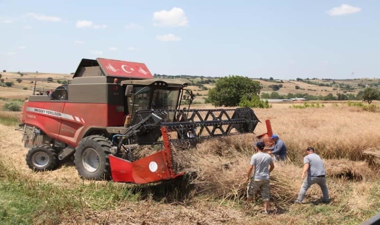 Bigada ‘Kanola Ekelim Yağ olsun, Bal Olsun projesi çerçevesinde tarla günü düzenlendi