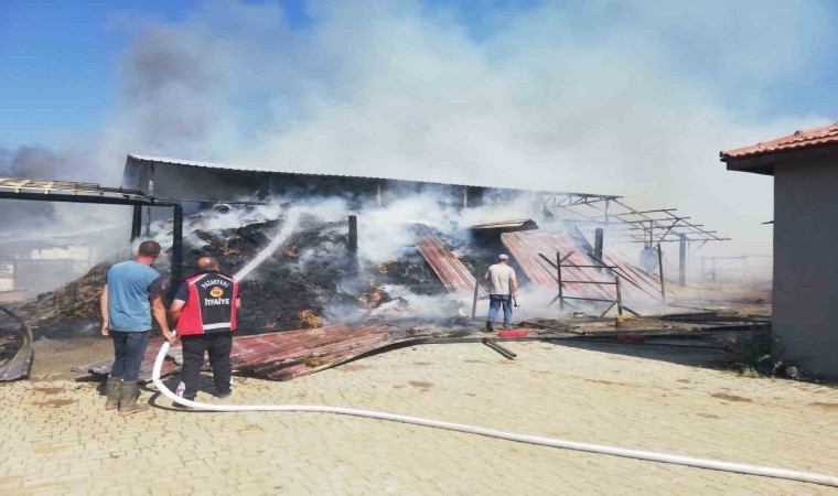 Bilecikte dün başlayan at çiftliği yangınında soğutma işlemi devam diyor