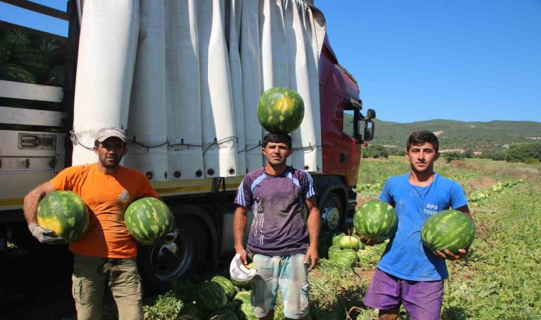 Bilecikten Ukrayna, Almanya ve Polonyaya karpuz ihracatı