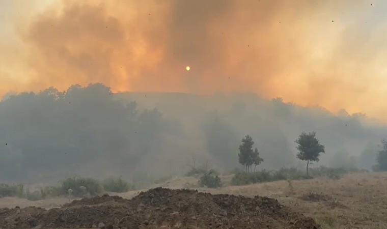 Bingölde iki köyde çıkan orman yangını söndürüldü