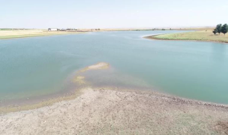 Binlerce kuşun yaşam alanı gölette su 10 metre çekildi; uzmandan uyarı geldi