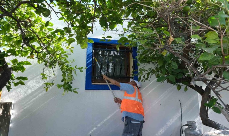 Bodrum sokakları mavi ve beyaza bürünüyor