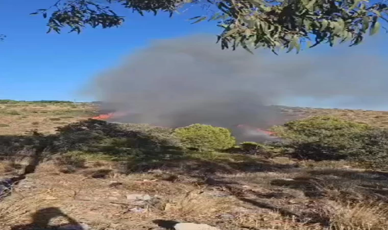 Bodrum’da makilik yangını